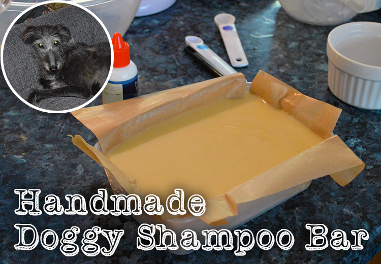 Homemade dog soap for fleas sale