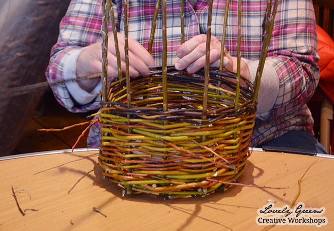 Willow Basket Weaving Workshops on the Isle of Man