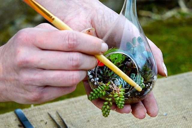 Lovely Greens is teaming up with Ashley from The Bees Knees to offer a creative gardening workshop where you get to make and take home TWO succulent terrariums #succulentterrarium #isleofman #creativeworkshop Lovely Greens is teaming up with Ashley from The Bees Knees to offer a creative gardening workshop where you get to make and take home TWO succulent terrariums #succulentterrarium #isleofman #creativeworkshop